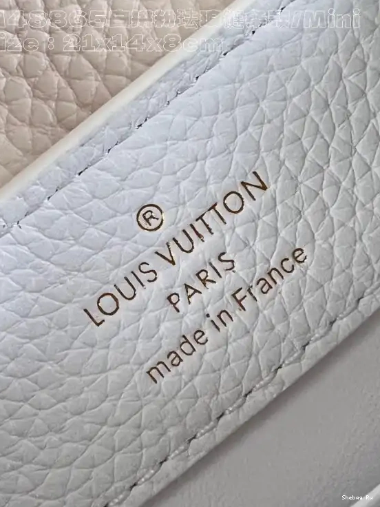 LOUIS VUITTON MINI-21*14*8CM CAPUCINES 0526